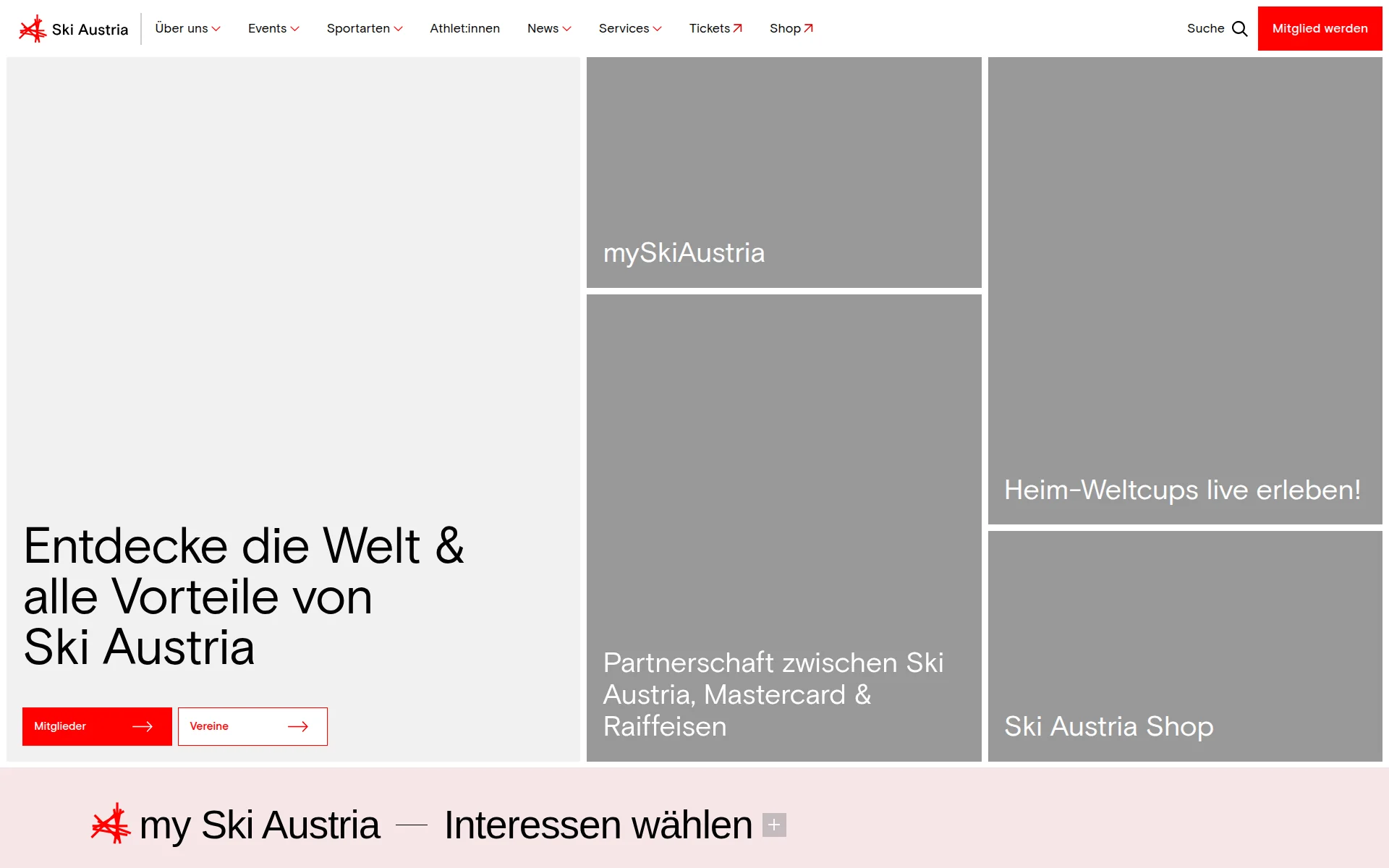 skiaustria.at 主页截图
