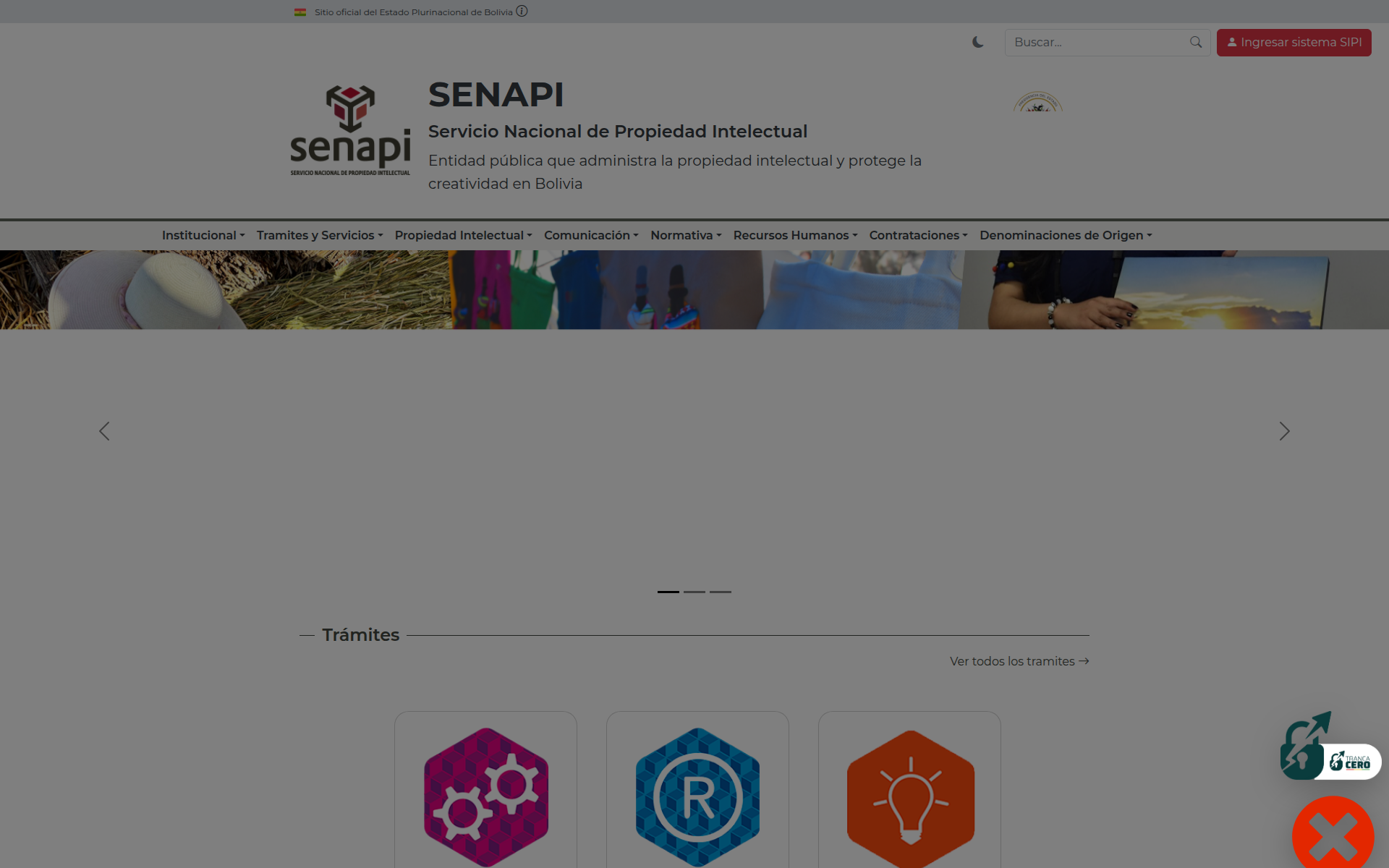 senapi.gob.bo 首页