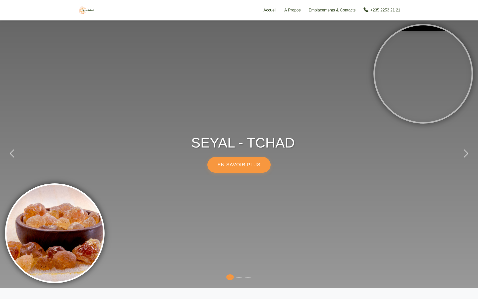 seyal-tchad.com 首页