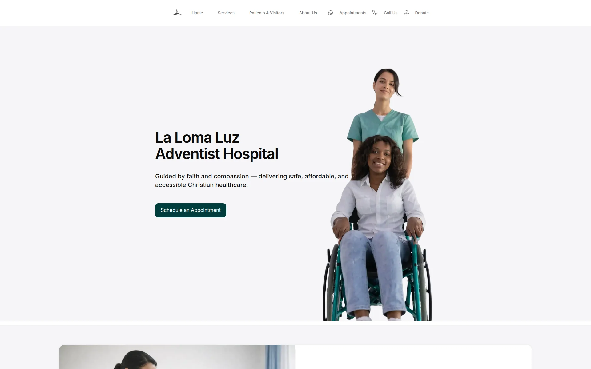 lalomaluz.bz 主页截图