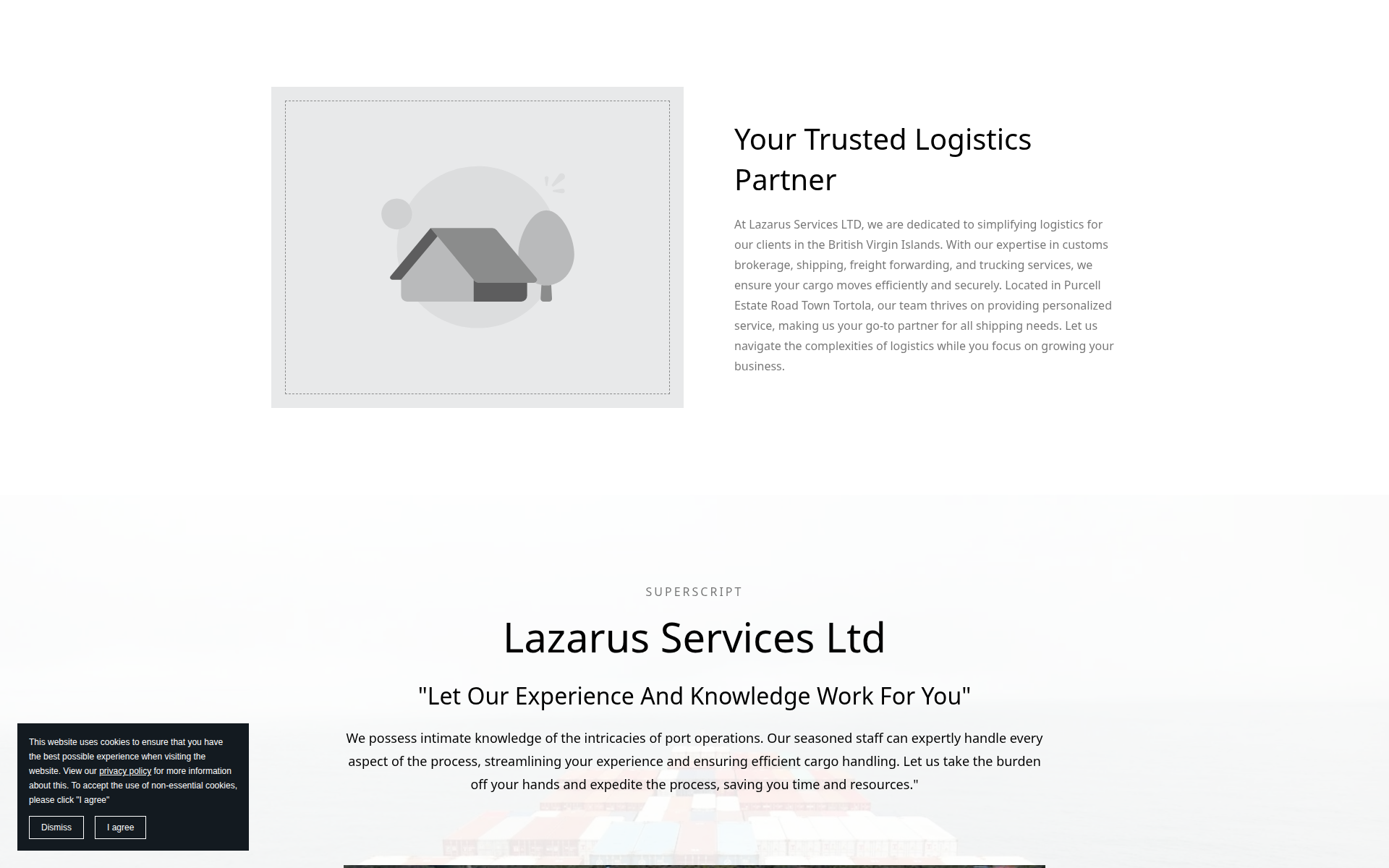 lazarusservicesltd.com 主页截图