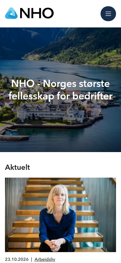 nho.no 主页截图