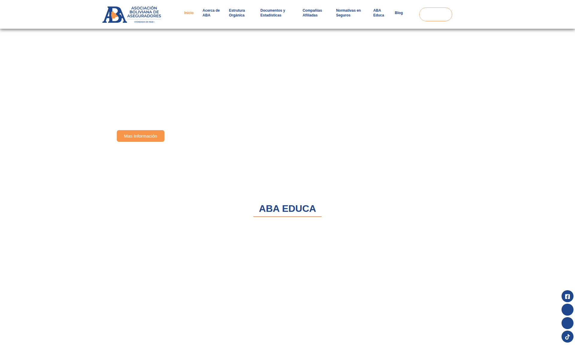 ababolivia.org 主页截图