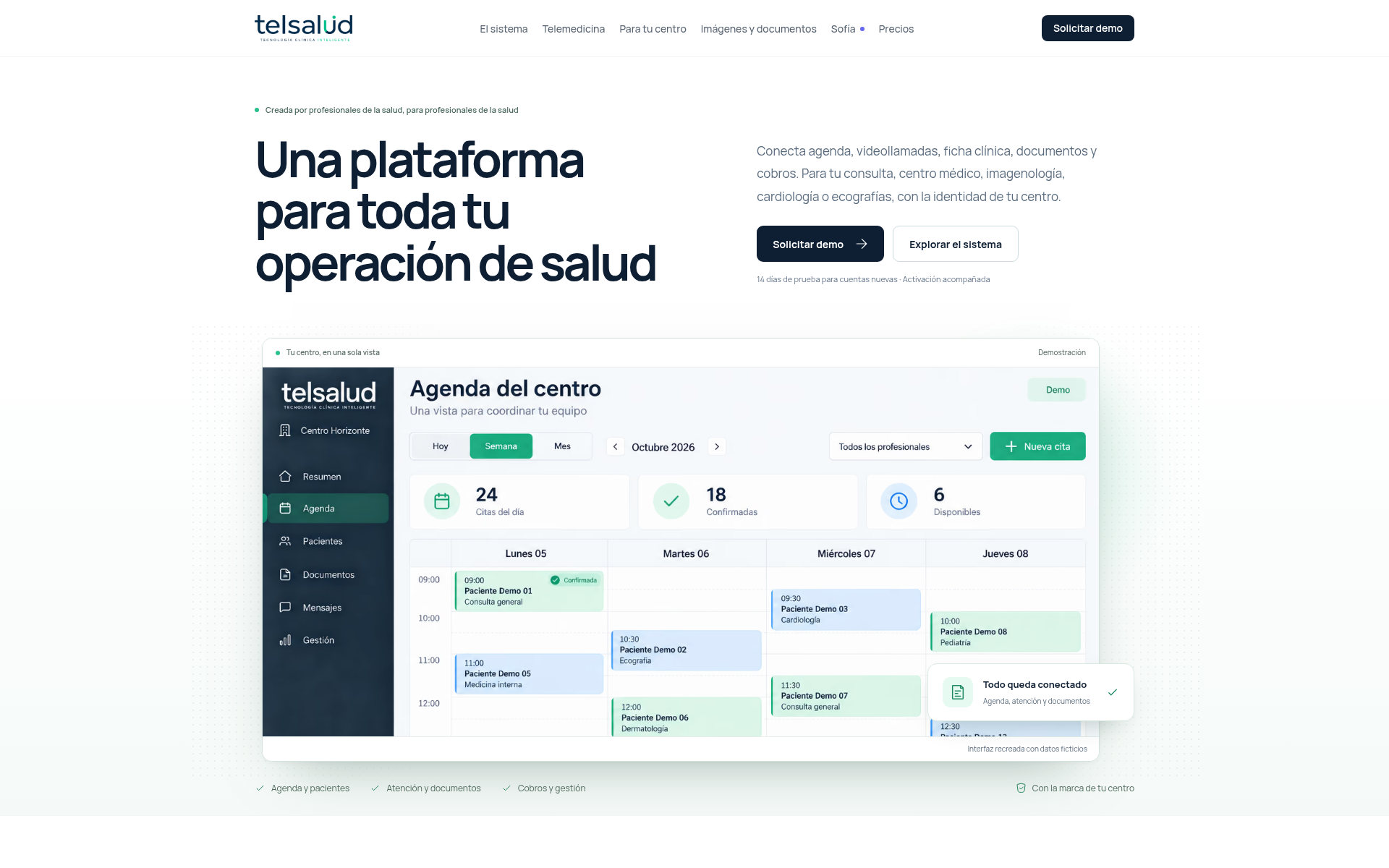 telsalud.cl 主页截图
